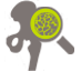 icon-knochendichte -messung